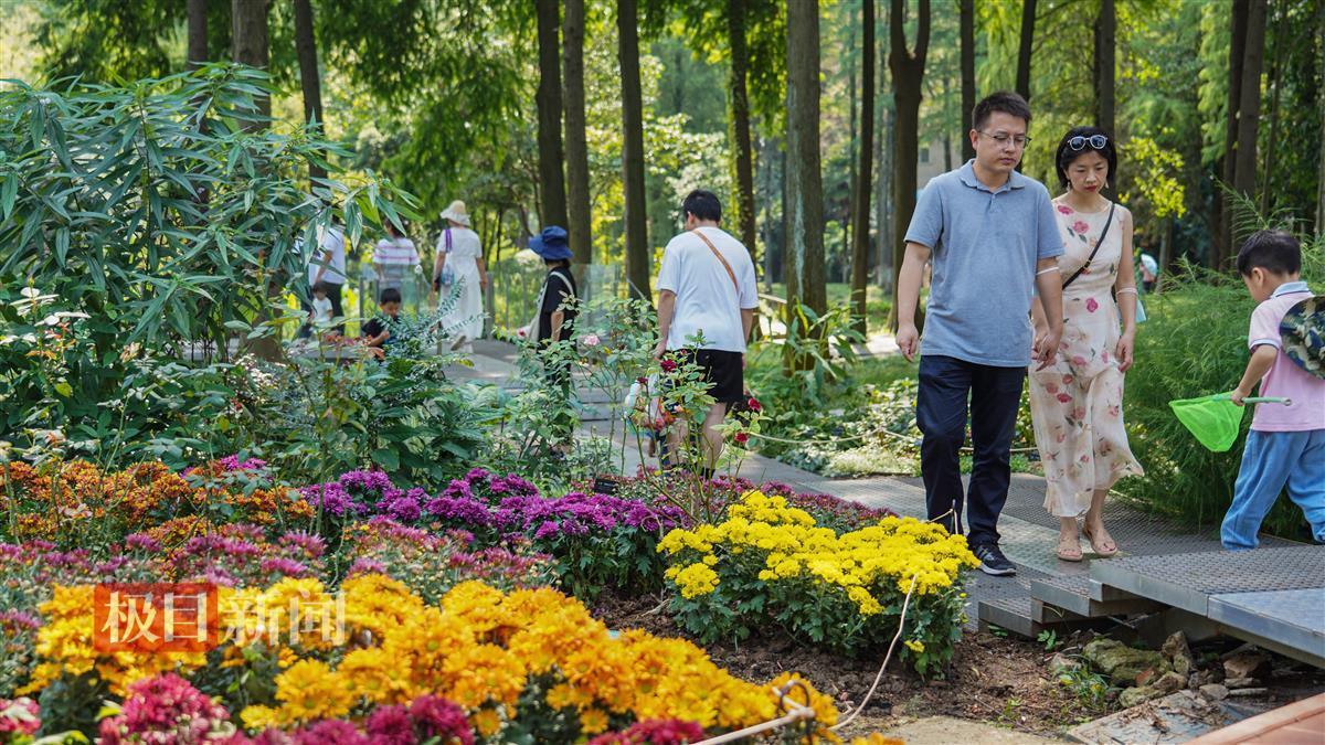 扎金花下载下载